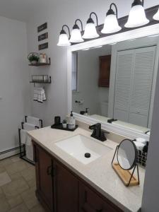 ein Badezimmer mit einem Waschbecken und einem großen Spiegel in der Unterkunft Catskills Cottage By The Lake, Sullivan County in Rock Hill