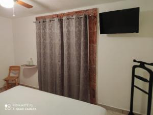 a bedroom with a bed with a curtain and a television at Hotel Beraka in Bernal