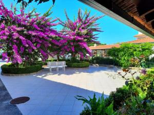 Κήπος έξω από το QM - Quinta da Morgadinha - Casa em Quinta Rural