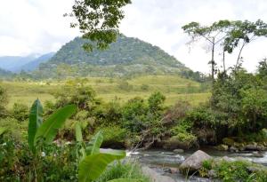 une rivière dans un champ avec une montagne en arrière-plan dans l'établissement Cabañita El Congolo-, à Pereira