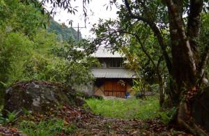 un bâtiment au milieu d'une forêt plantée d'arbres dans l'établissement Cabañita El Congolo-, à Pereira