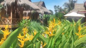 a garden with yellow flowers in front of a building at Bird of Paradise Bungalows in Kep
