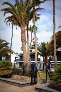 un grupo de palmeras frente a un edificio en Alojamientos Los Arpones, en Playa del Inglés