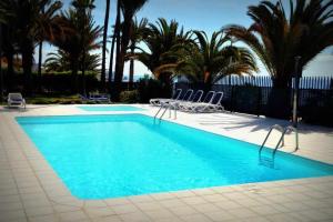 una piscina con sillas y palmeras en Alojamientos Los Arpones, en Playa del Inglés