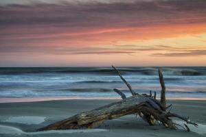 Φυσικό τοπίο κοντά σε αυτό το διαμέρισμα