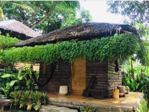 una pequeña casa con techo de hierba y puerta en Payag n' Kapitan, Experience pinubre living, en Siquijor