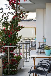 Gallery image of Dinos Studios in Paralia Kanaliou