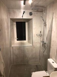 a bathroom with a shower with a window and a toilet at Oban Town Centre Apartment in Oban