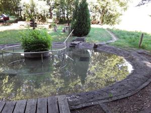 a pond in the middle of a garden at Ferienwohnung Monika Scholtz in Königheim