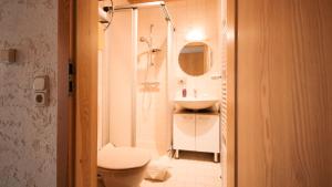 a bathroom with a shower and a toilet and a sink at Pension Eichertstüberl in Furth im Wald