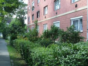 a building with a hedge in front of a building at DRS apartment, fully renovated flat in Budapest