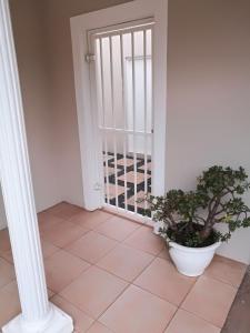 un pasillo con una puerta con una maceta. en 8A Oyster Crescent en Durban