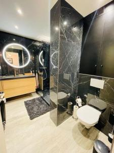 ein Bad mit einem WC und einem Spiegel in der Unterkunft Superbe T3 - 11 minutes Palais, Croisette & Plages in Cannes