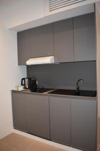 eine Küche mit grauen Schränken und einem Waschbecken in der Unterkunft GiaChi friendly studios a Ballarò in Palermo