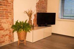 a living room with a tv on a cabinet with a plant at Landzicht 05 in Ter Apel