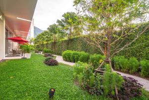 a garden with a tree in the middle of a yard at Ramada by Wyndham Phuket Deevana in Patong Beach +136 photos