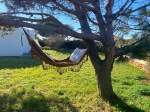 a hammock hanging from a tree in a yard at Villa con piscina privada y gran jardín in Cala en Bosc