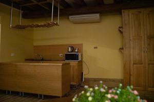 kuchnia z blatem i kuchenką mikrofalową w pokoju w obiekcie Wendy luxury apartment w Wenecji +14 zdjęć