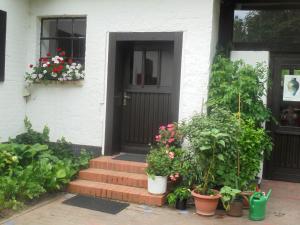 a front door of a house with plants and flowers at Ferienwohnung Bergfeld in Bergfeld