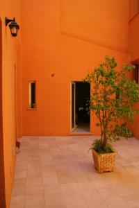 una pared de naranja con un árbol en maceta en un patio en Note Sulla Piazza, en Cagliari