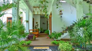 a room filled with lots of plants at Menara Green Inn in Dambulla