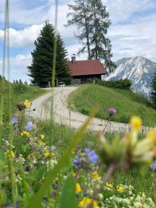 a house on a dirt road with a field of flowers at Jagdhütte Gammeringalm in Spital am Pyhrn