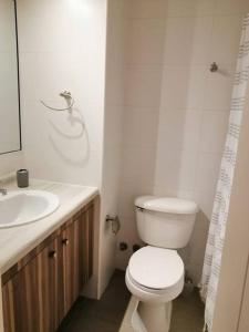 a bathroom with a white toilet and a sink at Departamento Arica por día Doña Agustina in Arica