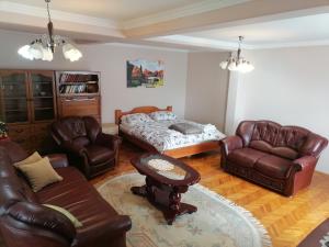 Posezení v ubytování Apartman Solomonovic