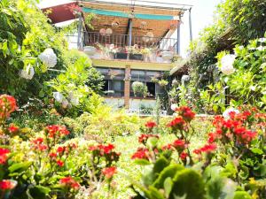 Hotel Casa Chapultepec外面的花园