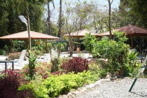 un jardin avec des chaises blanches, des fleurs et des parasols dans l'établissement El Valle Resort & Spa - Aguas Termales, à El Valle de Antón