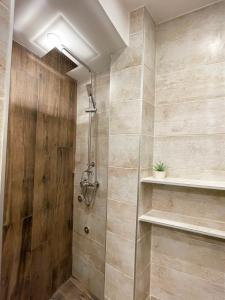 baño con ducha y puerta de cristal en Colorway Apartment en Belgrado