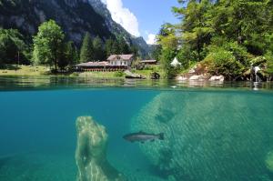 Paesaggio naturale nelle vicinanze dell'hotel