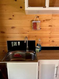 a kitchen with a sink and a wooden wall at Cinnamon View Lodge Mirissa in Mirissa
