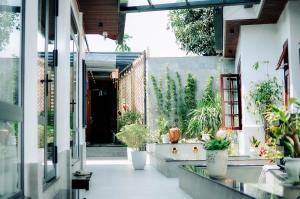 a courtyard with potted plants in a building at Chi’s homestay in Thôn Kim Long (1)