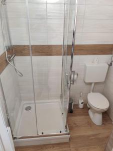 a bathroom with a shower and a toilet at Hus Kalli in Landkirchen