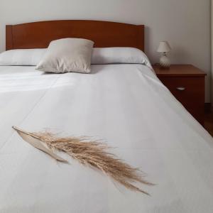 Uma cama ou camas num quarto em sedicipassi