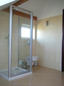 ein Badezimmer mit einem WC und einer Glasduschkabine in der Unterkunft Apartament Tina in Dzierżoniów