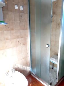 a bathroom with a shower with a sink and a toilet at One bedroom appartement with balcony and wifi at Monterosso Grana in Levata