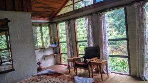 Zimmer mit Fenstern, einem Stuhl und einem Schreibtisch in der Unterkunft Jungle Jive Tree House in Munnar