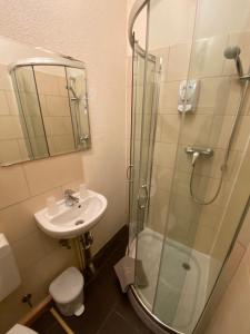 a bathroom with a glass shower and a sink at Thüringer Hof in Ziegenrück