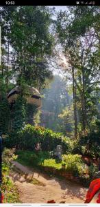 una pintura de un jardín con flores y una casa en Jungle Jive Tree House Munnar, en Munnar