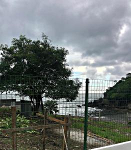 a fence with a tree in front of a body of water at La Leona 1 in El Zonte