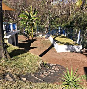 Vonkajšia záhrada v ubytovaní La Leona 1