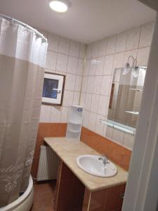 bagno con lavandino, servizi igienici e specchio di Luxury apartament a Curtea de Argeş