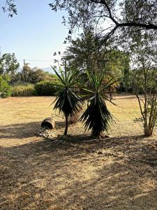 Vonkajšia záhrada v ubytovaní Cozy Corfu Bungalow 5 minutes to Aqualand