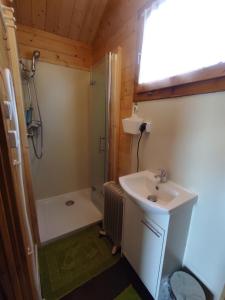 a small bathroom with a sink and a shower at Siedlisko Zacisze in Policzna
