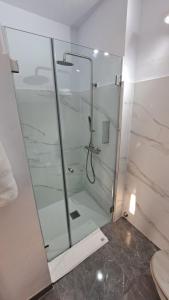 eine Dusche mit einer Glastür in einem Badezimmer in der Unterkunft La Casita del Arco Ático in San Pedro + 37 Fotos
