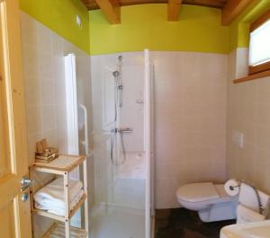 a bathroom with a shower and a toilet at Agriturismo Maso Besleri in Cembra