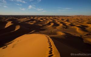an aerial view of a desert with footprints in the sand at Hotel Riad Le Petit Prince in Merzouga