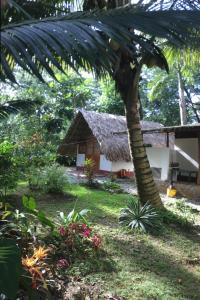 una casa con una palmera delante de ella en Cabañas Tucan Eco Hotel, en Capurganá